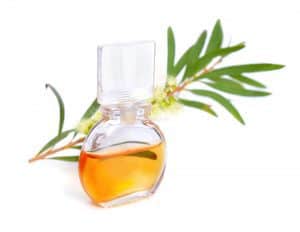 Масло чайного дерева